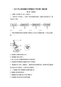 2023年山东省德州市武城县中考生物二模试卷（含解析）