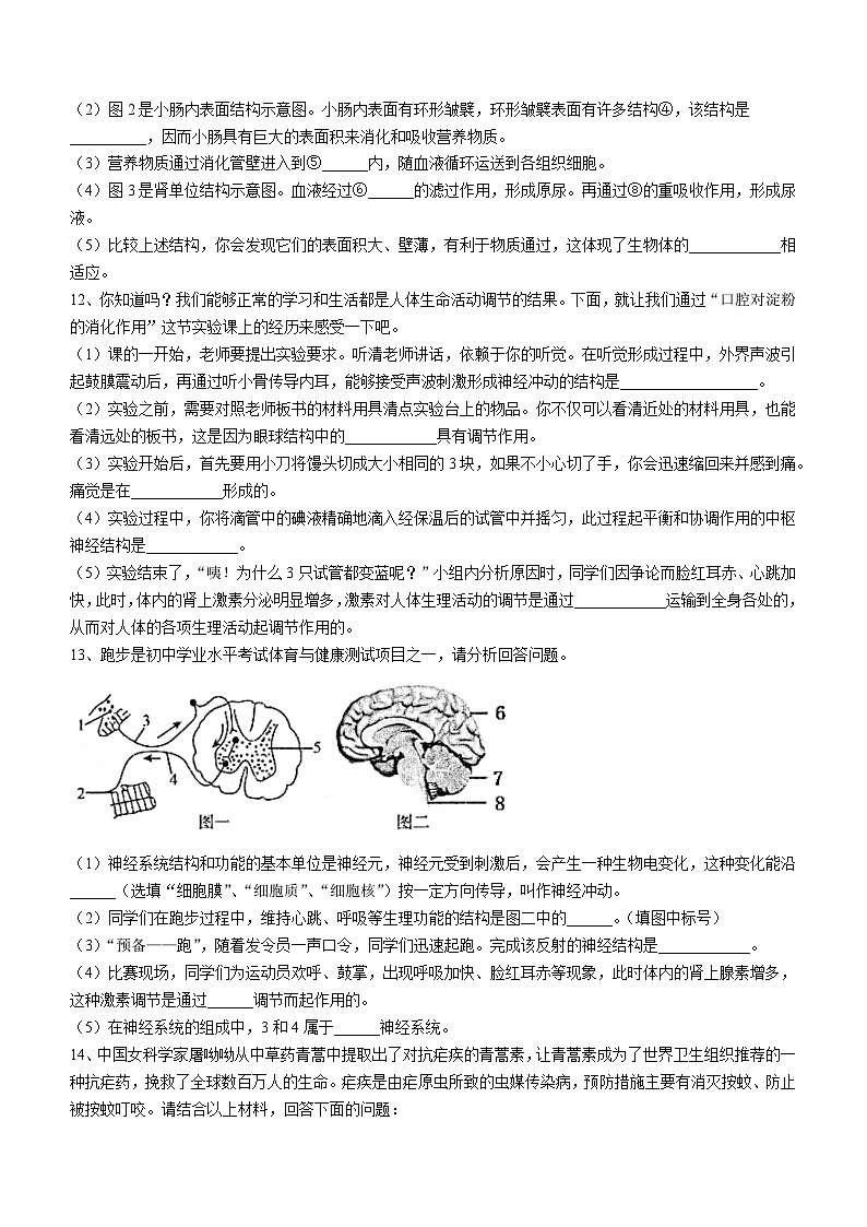 安徽省淮南市谢家集区等3地2022-2023学年七年级下学期期末生物试题（含答案）03