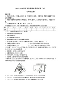 河南省漯河市舞阳县2022-2023学年七年级下学期期末生物试题（含答案）