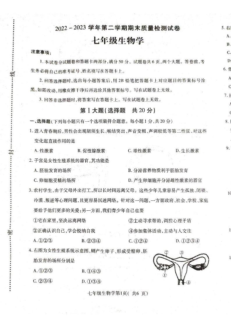 河南省平顶山市叶县2022-2023学年七年级下学期6月期末生物试题第1页