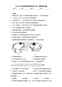 2023年云南省昭通市昭阳区中考二模生物试题（含解析）