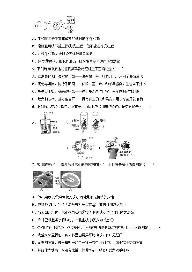 2023年山东省潍坊市临朐县等八县市中考一模生物试题（含解析）第2页