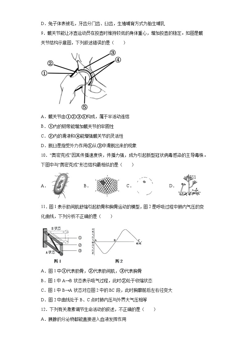 2023年山东省潍坊市临朐县等八县市中考一模生物试题（含解析）第3页