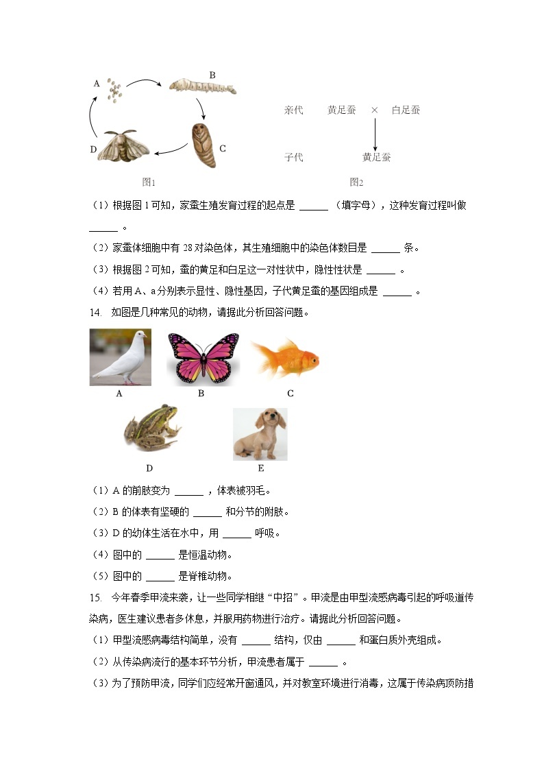 2023年甘肃省天水市中考生物试卷（含解析）03