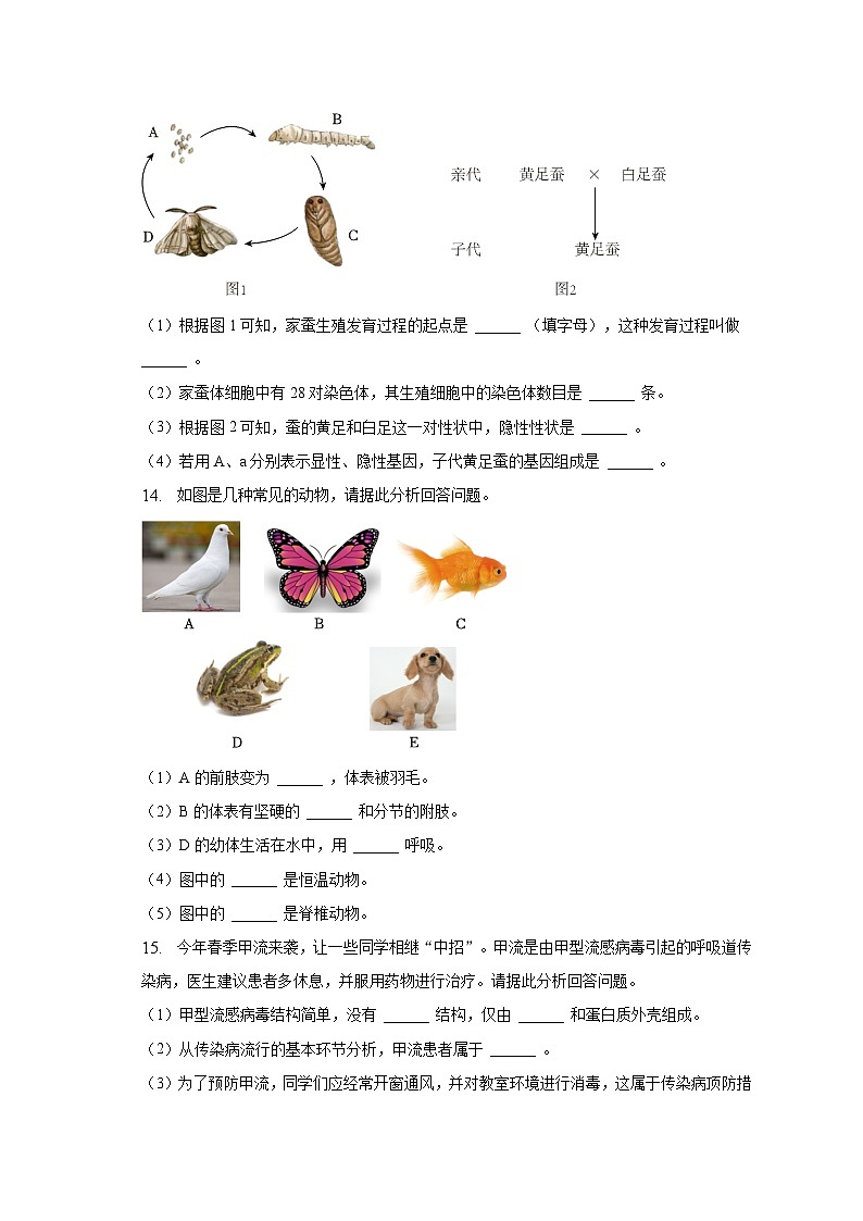 2023年甘肃省天水市中考生物试卷（含解析）03