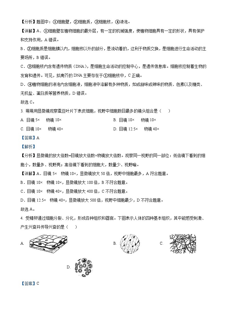 2023年河南省中考生物真题（解析版）02