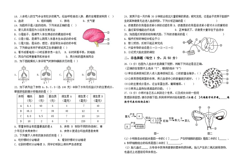 福建省福州延安中学2022--2023学年七年级下学期生物期末考试卷（含答案）第2页