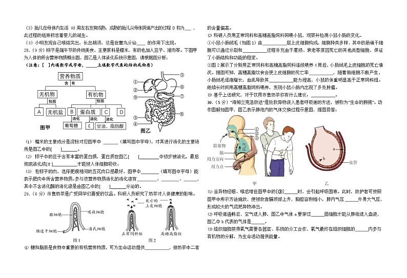 福建省福州延安中学2022--2023学年七年级下学期生物期末考试卷（含答案）第3页
