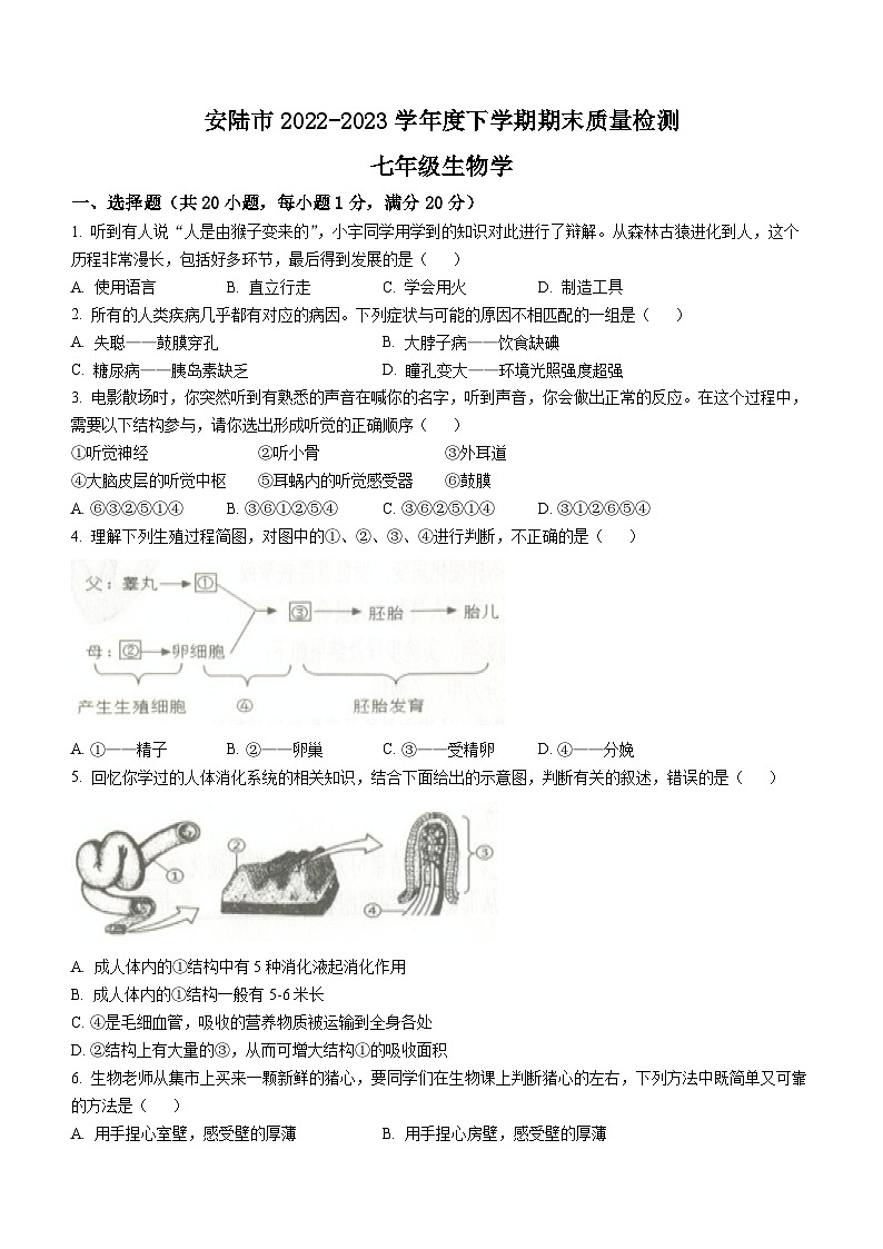 湖北省孝感市安陆市2022-2023学年七年级下学期期末生物试题（含答案）第1页