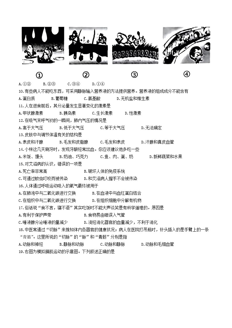 山东省德州市乐陵市2022-2023学年七年级下学期期末生物试题（含答案）02