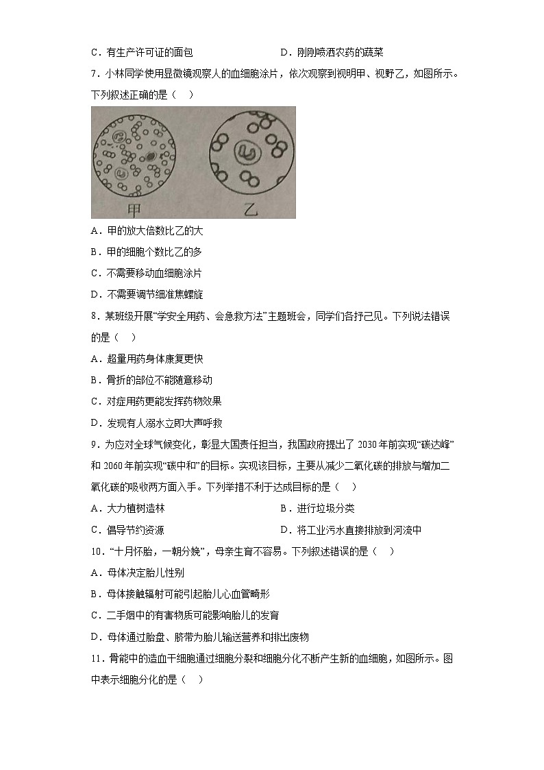 2023年广西生物中考真题（含答案）02
