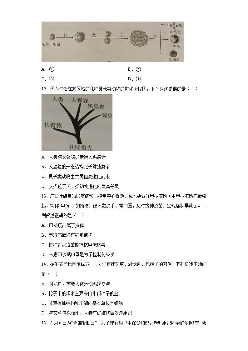 2023年广西生物中考真题（含答案）03