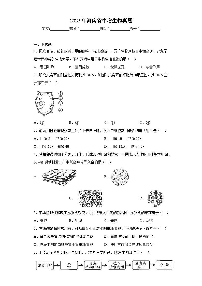 2023年河南省中考生物真题（含答案）第1页