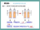 人教七上生物植物的呼吸作用课件