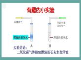 人教七上生物植物的呼吸作用课件