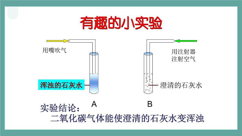 人教七上生物植物的呼吸作用课件05