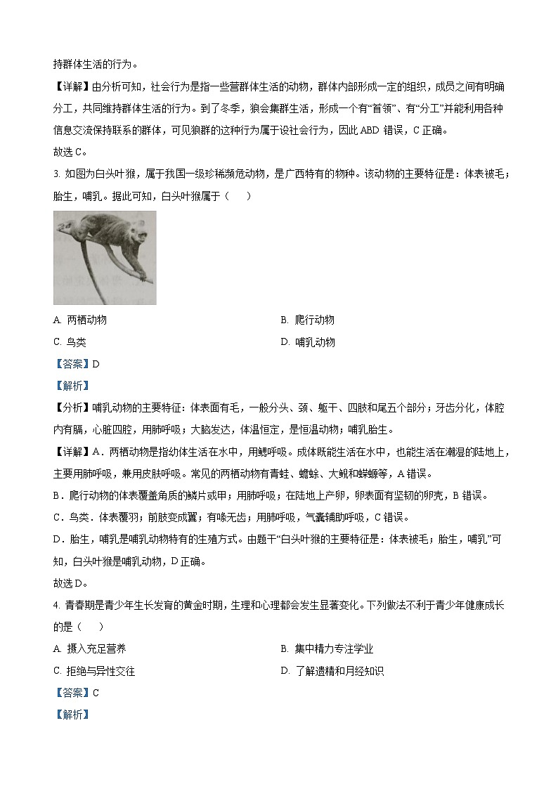 2023年广西生物中考真题（解析版）02