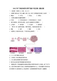 2023年广东省东莞市常平镇中考生物三模试卷（含解析）