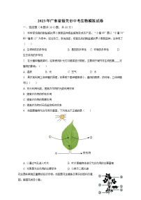 2023年广东省韶关市中考生物模拟试卷（含解析）