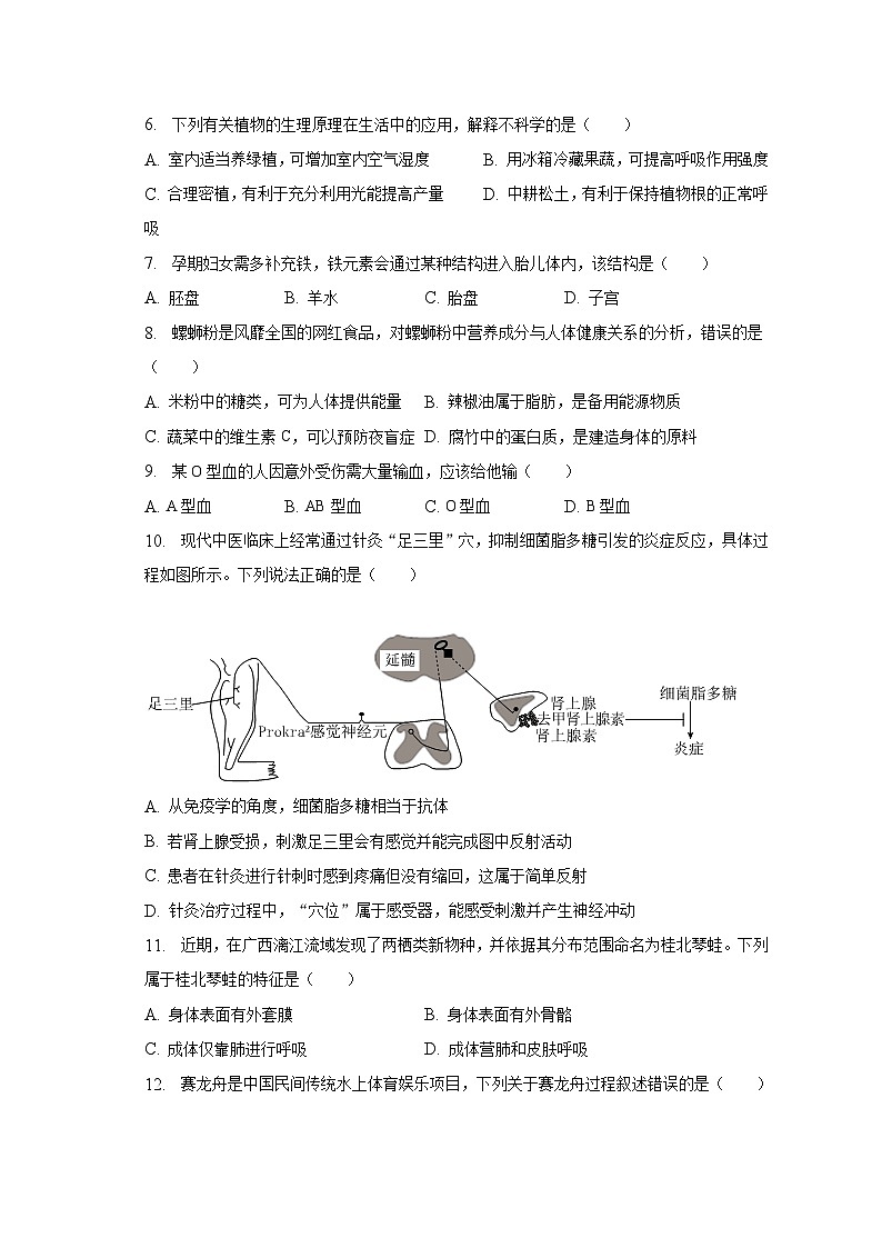 2023年广西柳州市柳北区中考生物二模试卷（含解析）02