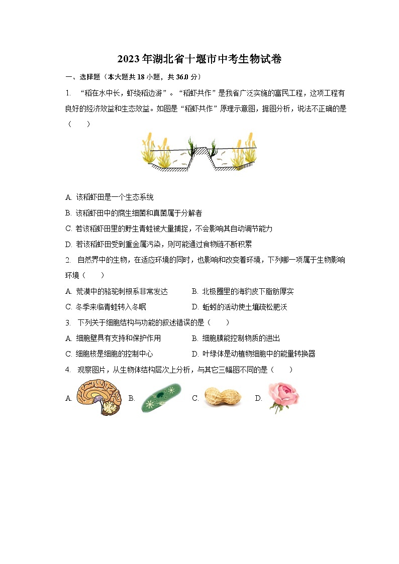 2023年湖北省十堰市中考生物试卷（含解析）第1页