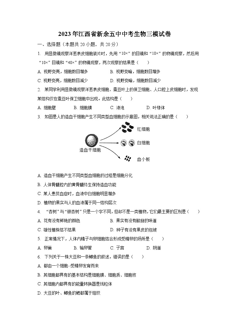 2023年江西省新余五中中考生物三模试卷（含解析）01