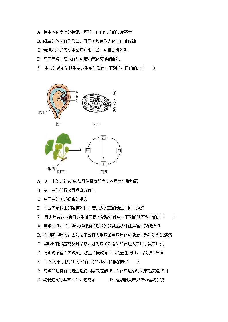 2023年辽宁省丹东市凤城市中考生物一模试卷（含解析）第2页
