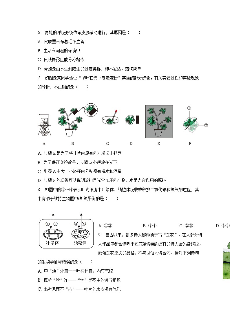 2023年山东省德州市乐陵市中考生物二模试卷（含解析）02