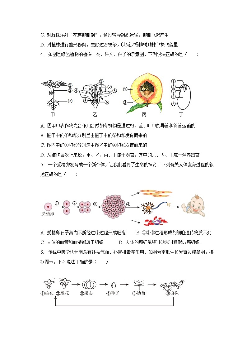 2023年山东省东营市广饶县中考生物二模试卷（含解析）02