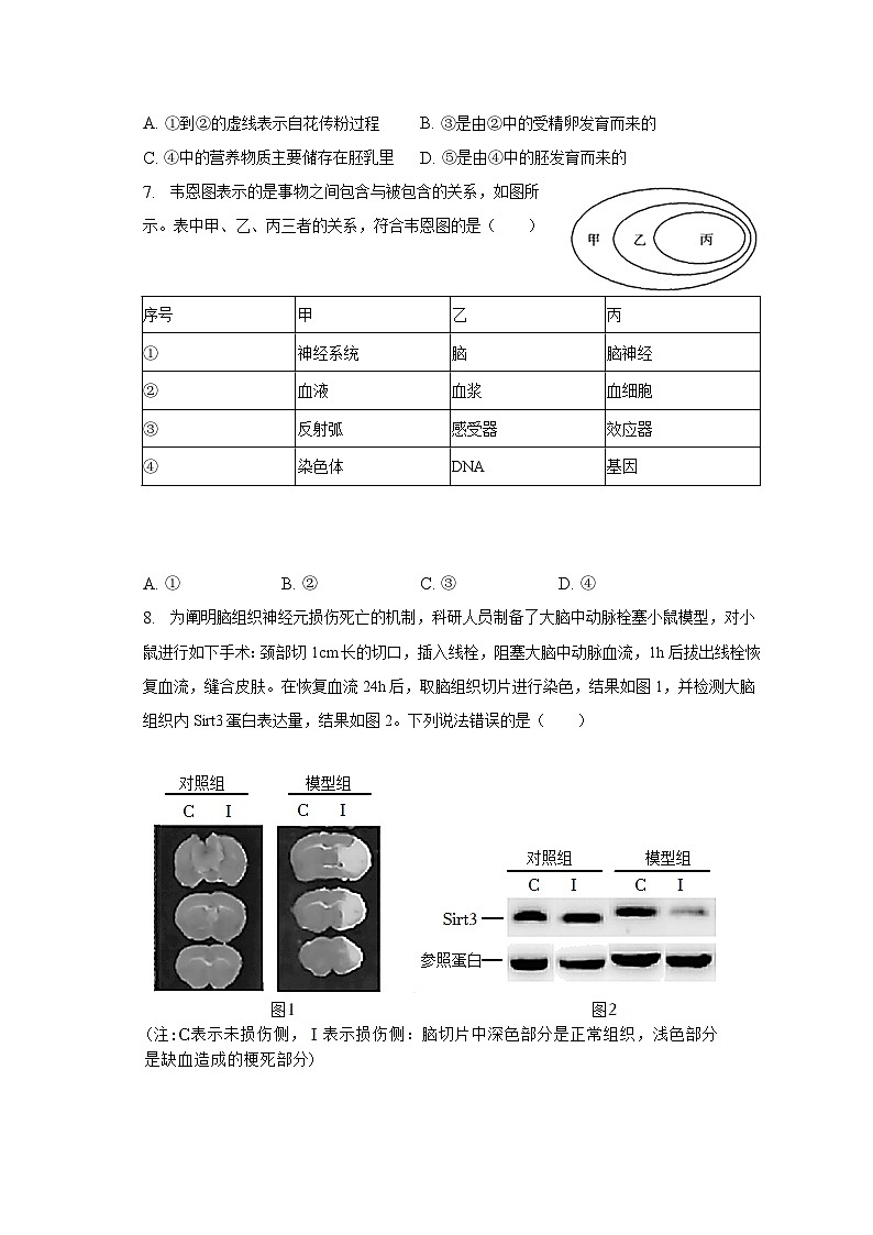 2023年山东省东营市广饶县中考生物二模试卷（含解析）03