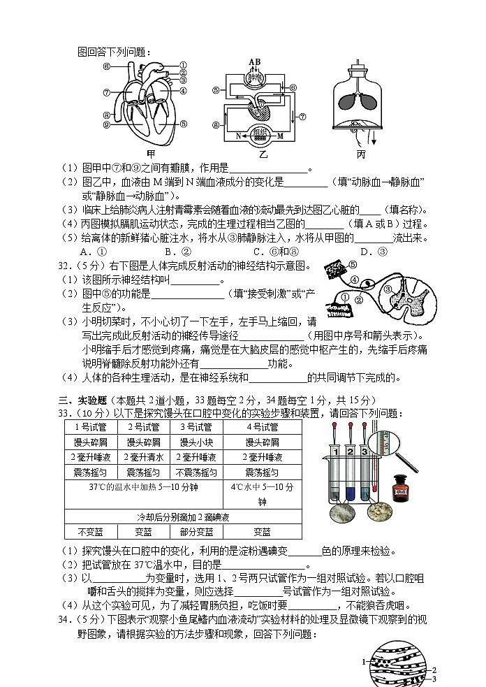 湖南省凤凰县202--2023学年七年级下学期生物期末学情诊断试题卷（含答案）03