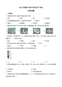 2023年山东省烟台市中考生物真题