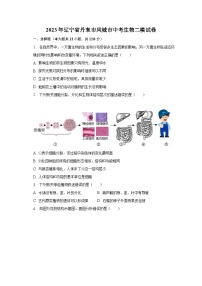 2023年辽宁省丹东市凤城市中考生物二模试卷（含解析）