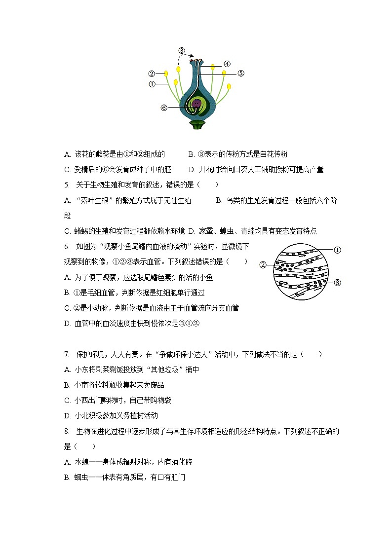 2023年辽宁省丹东市凤城市中考生物二模试卷（含解析）第2页