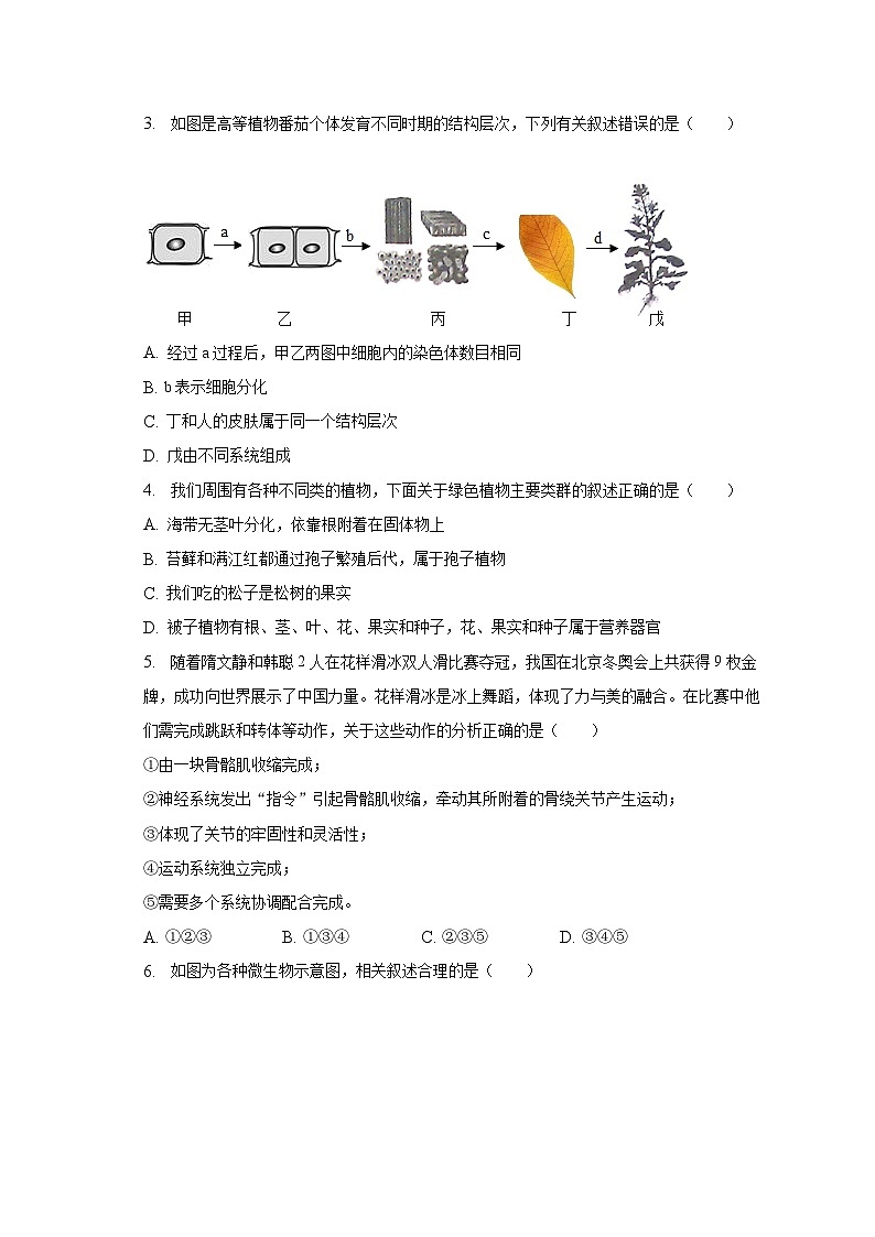 2023年山东省菏泽市单县中考生物三模试卷（含解析）02