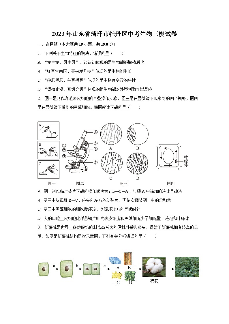 2023年山东省菏泽市牡丹区中考生物三模试卷（含解析）01