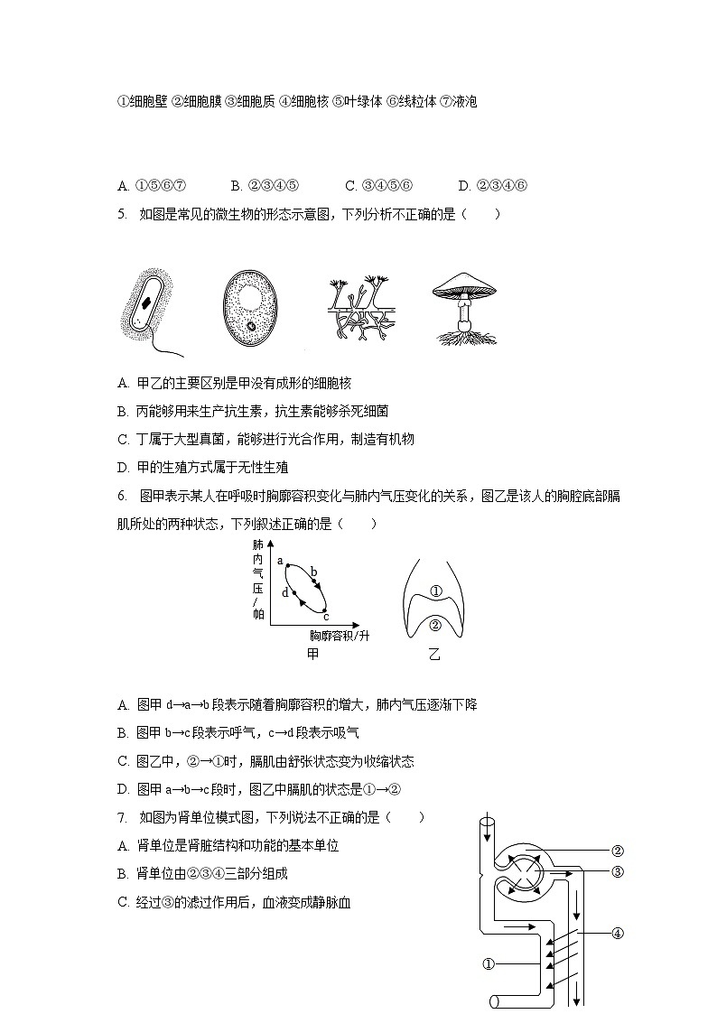 2023年山东省菏泽市郓城县中考生物二模试卷（含解析）02