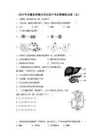 2023年安徽省淮南市凤台县中考生物模拟试卷（五）（含解析）