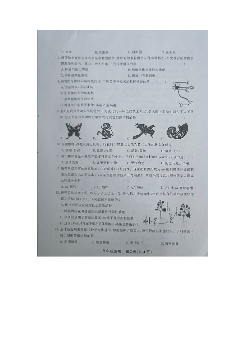 黔东南州教学资源共建共享实验基地名校2023年春季学期八年级期末水平检测生物试卷及答案【图片版】第2页