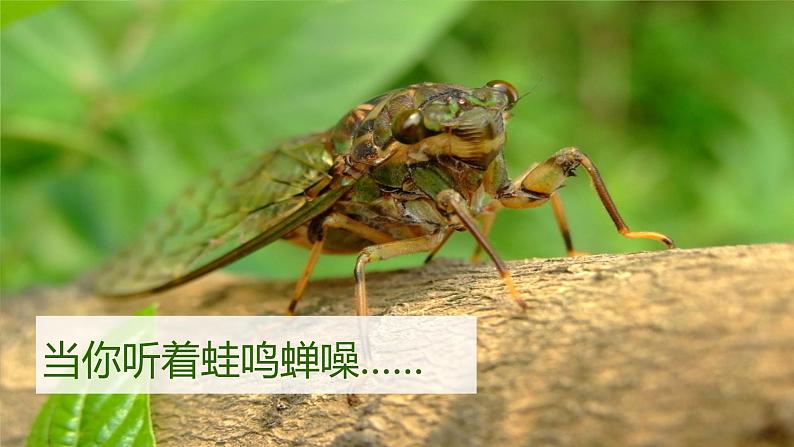 初中生物开学第一课课件PPT05