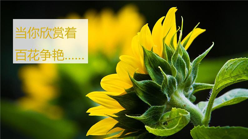 初中生物开学第一课课件PPT06