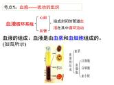 第9章 人体内的物质运输（第1课时）-【期末通关】2022-2023学年七年级下学期生物考点精讲与要点归纳（北师大版）课件PPT