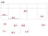 第9章 人体内的物质运输（第1课时）-【期末通关】2022-2023学年七年级下学期生物考点精讲与要点归纳（北师大版）课件PPT