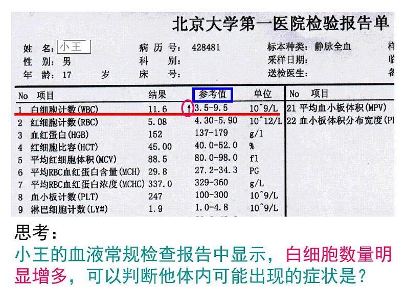 第9章 人体内的物质运输（第1课时）-【期末通关】2022-2023学年七年级下学期生物考点精讲与要点归纳（北师大版）课件PPT第8页