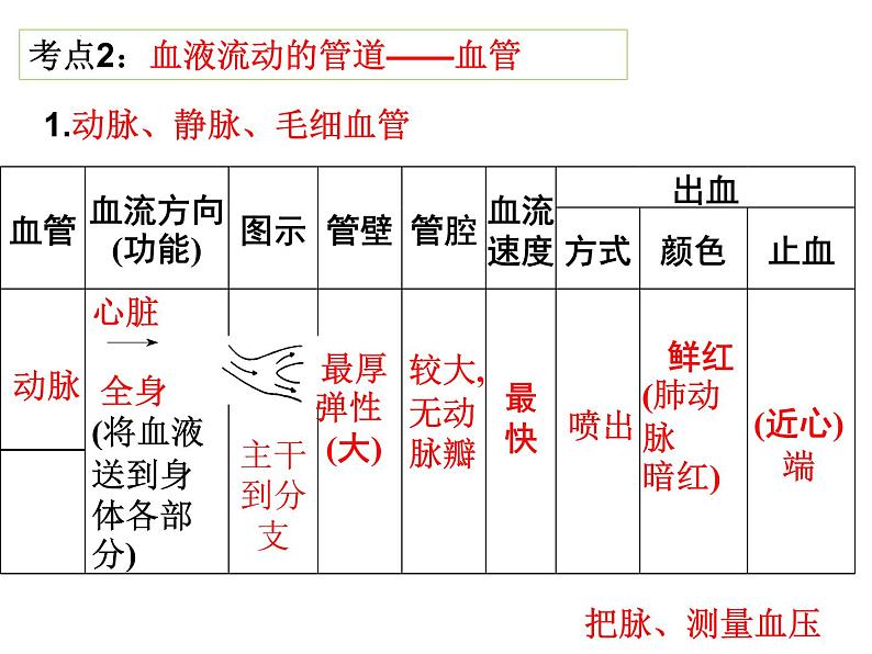 第9章 人体内的物质运输（第2课时 血液循环）-【期末通关】2022-2023学年七年级下学期生物考点精讲与要点归纳（北师大版）课件PPT第2页