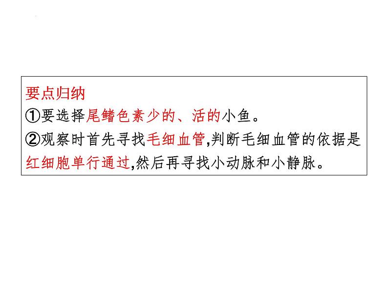 第9章 人体内的物质运输（第2课时 血液循环）-【期末通关】2022-2023学年七年级下学期生物考点精讲与要点归纳（北师大版）课件PPT第7页