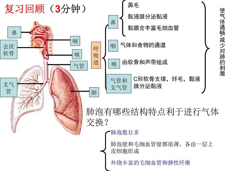 第10章 人体的能量供应（第2课时）-【期末通关】2022-2023学年七年级下学期生物考点精讲与要点归纳（北师大版）课件PPT第1页