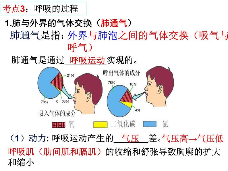 第10章 人体的能量供应（第2课时）-【期末通关】2022-2023学年七年级下学期生物考点精讲与要点归纳（北师大版）课件PPT第3页