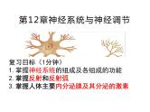 第12章 人体的自我调节-【期末通关】2022-2023学年七年级下学期生物考点精讲与要点归纳（北师大版）课件PPT