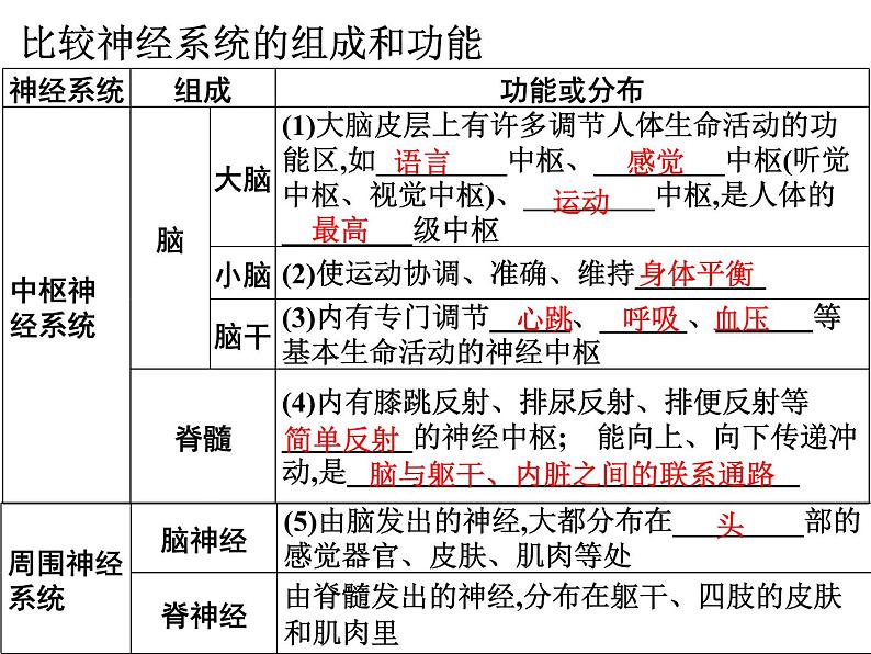 第12章 人体的自我调节-【期末通关】2022-2023学年七年级下学期生物考点精讲与要点归纳（北师大版）课件PPT第4页